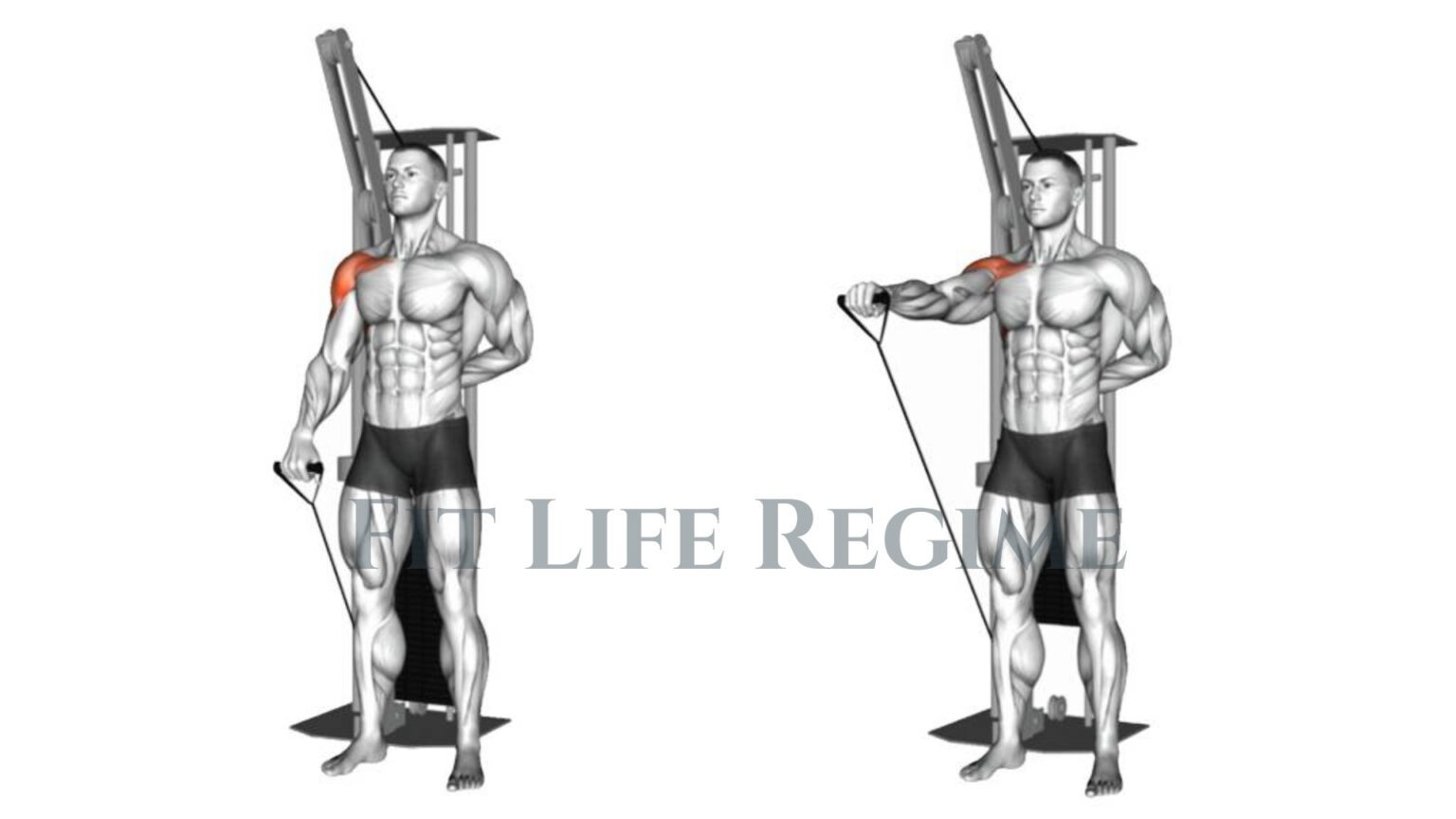 One Arm Cable Front Raise, How To Do & Tips