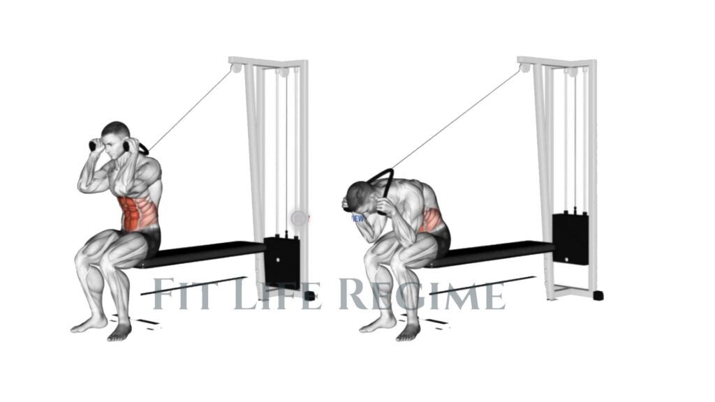 Seated Cable Crunch