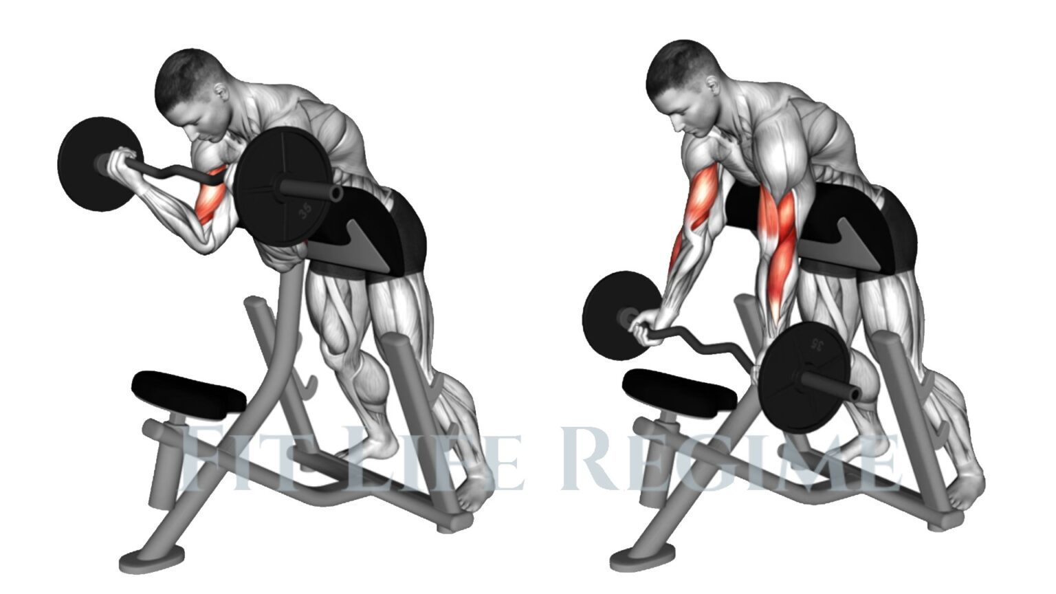 Standing Preacher Curl: How To Do, Form & Alternate