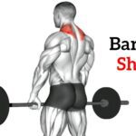 Barbell Shoulder Shrug