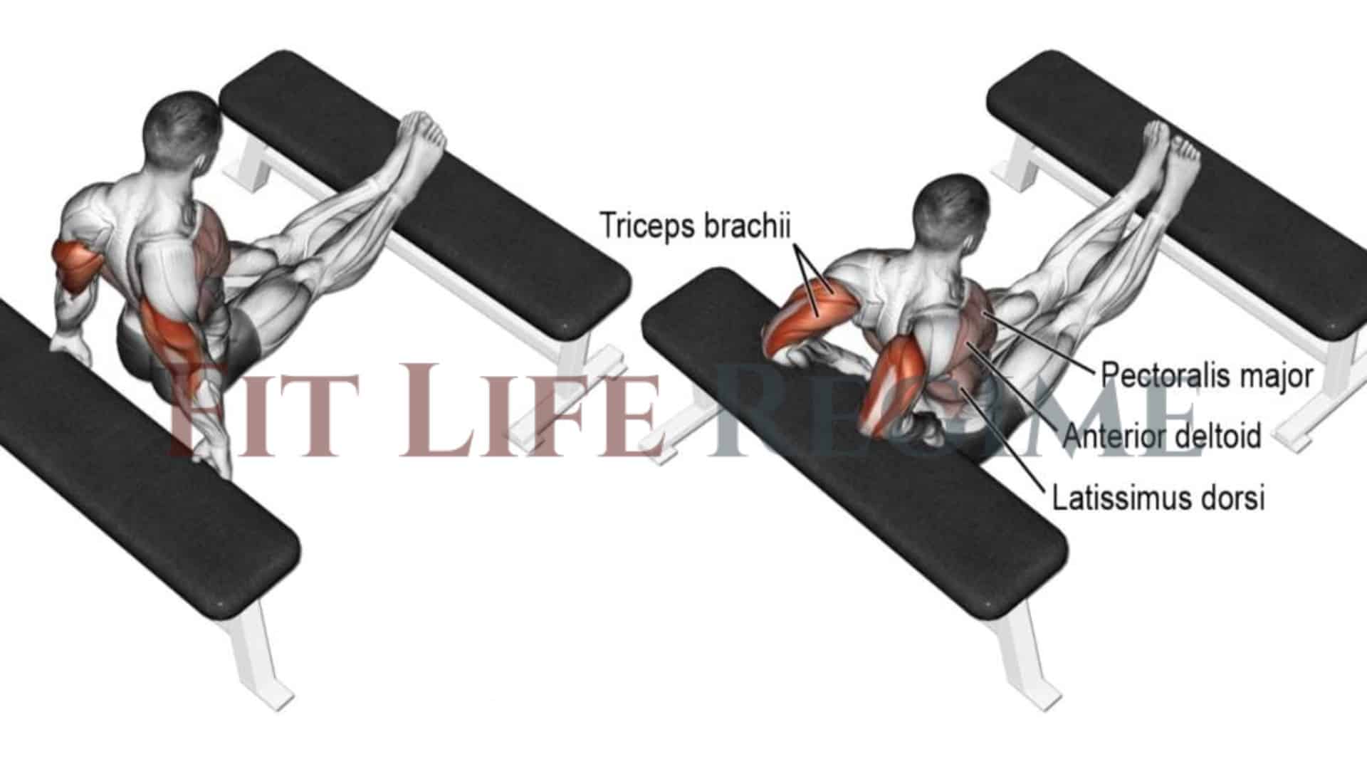 7 Most Effective Tricep Dips To Build Mass & Strength