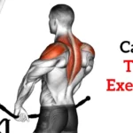 Cable trap exercises and Workout