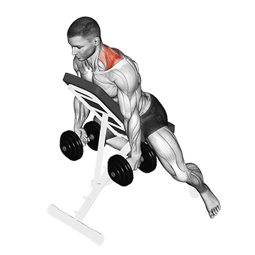 How To Do Chest Supported Incline Shrug