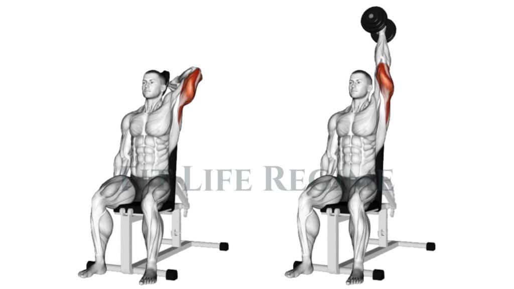 One Arm Seated Overhead Dumbbell Triceps Extension