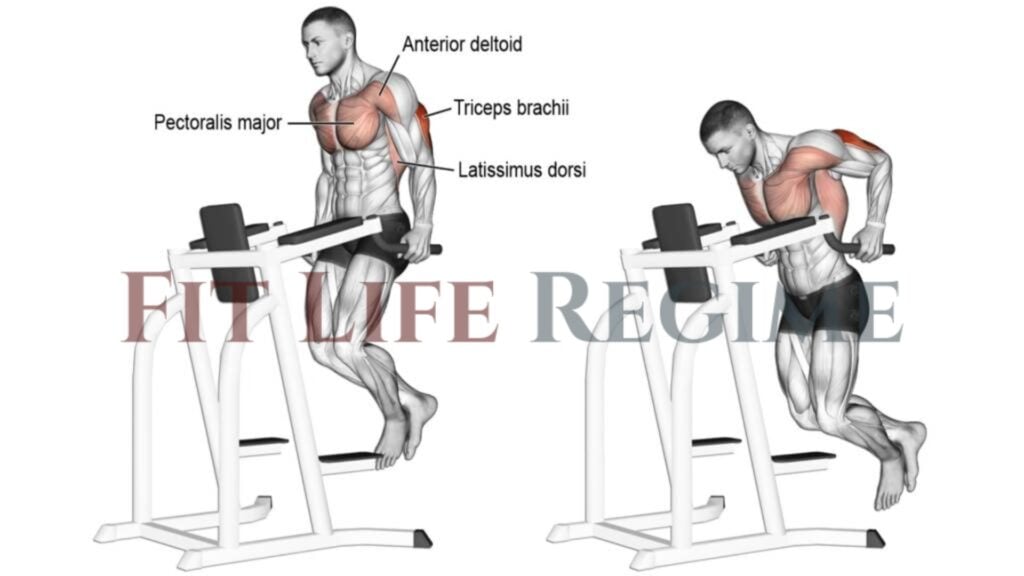 7 Most Effective Tricep Dips To Build Mass And Strength