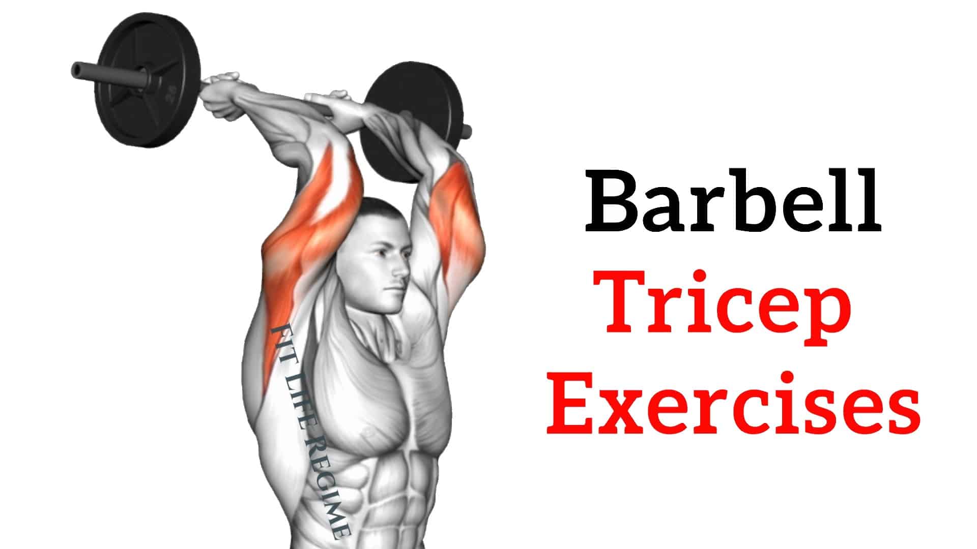 barbell tricep exercises, 4 Best Dumbbell Tricep Exercises For Gaining ...