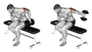 Dumbbell Tricep Kickback: Muscles Worked, How To Do, Form