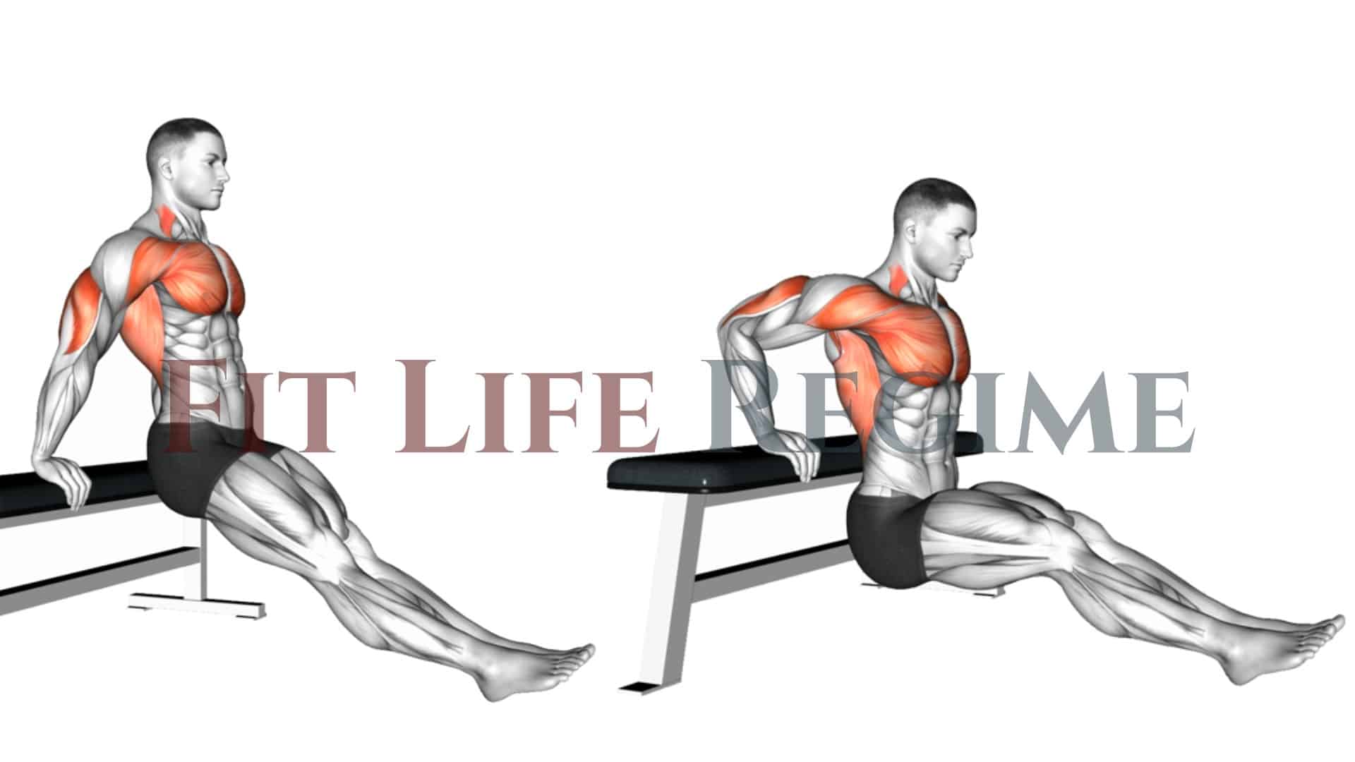 Triceps Chair Dips At Home Triceps Exercises How To Do Chair Dip 