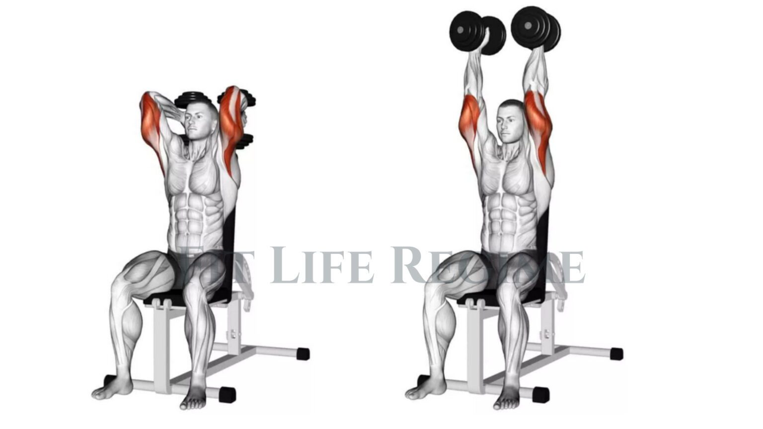 How To Do Seated Overhead Tricep Extension Effectively
