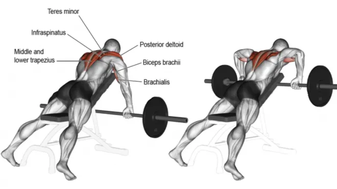 T bar row lower best sale back pain