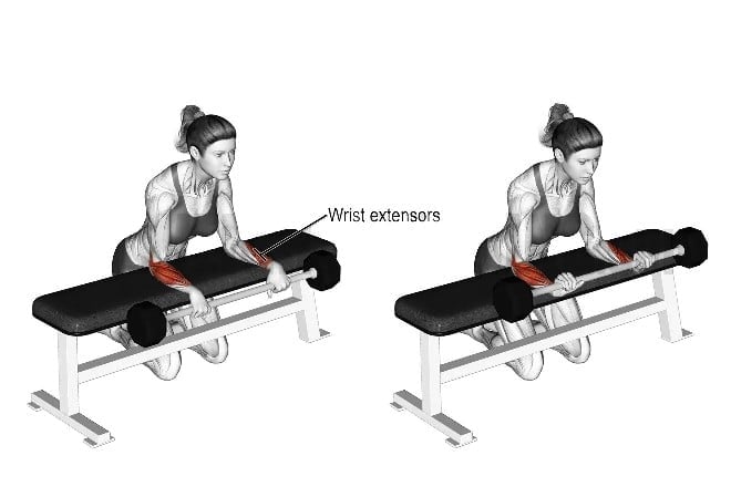 Barbell Reverse Wrist Curl Over Bench