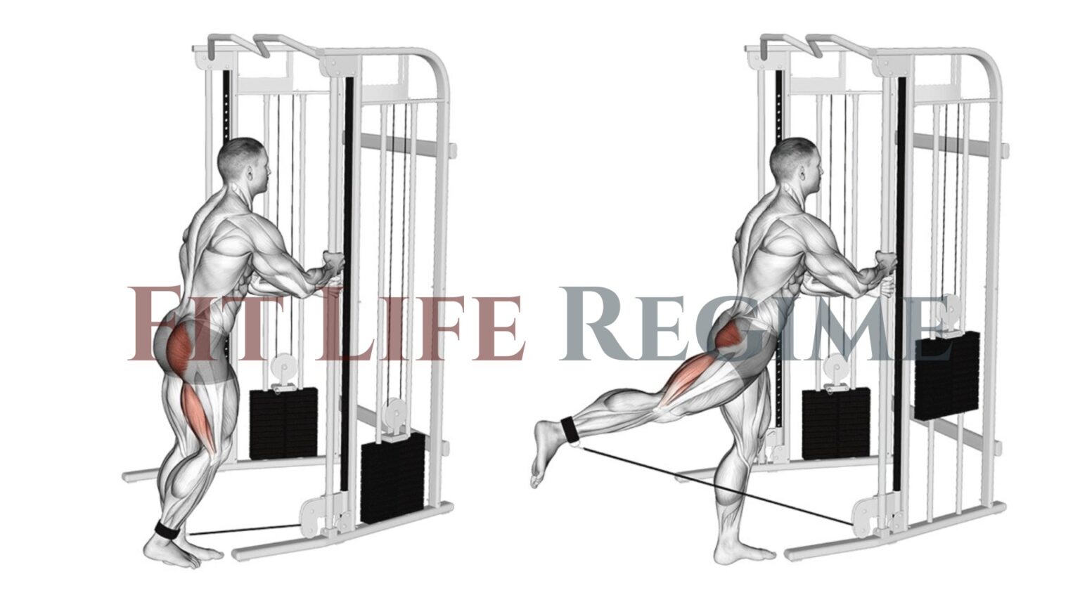 15 Best Cable Machine Leg Exercises (With Workout Routine)