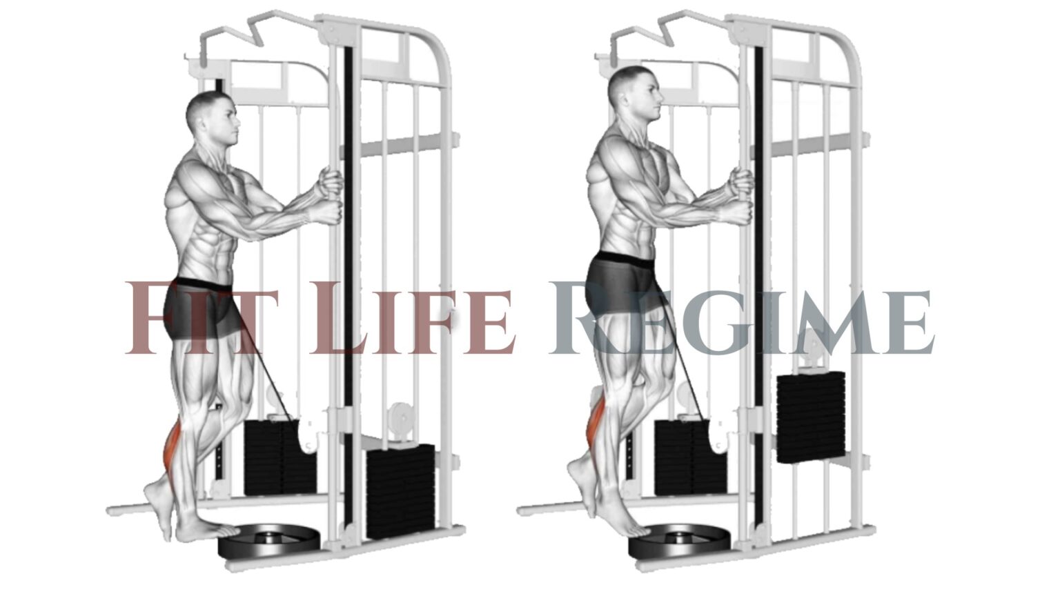 15 Best Cable Machine Leg Exercises (With Workout Routine)