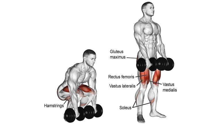 Dumbbell Deadlift