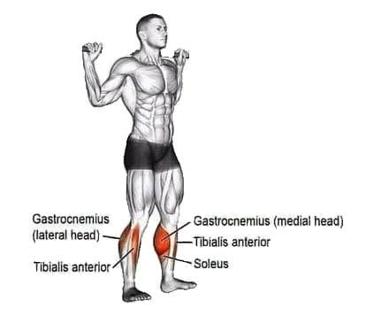 Bodyweight Calf Raise to Build Mass and Strength of Calves