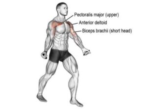 Standing Dumbbell Fly: How to Do, Muscle Worked, Tips
