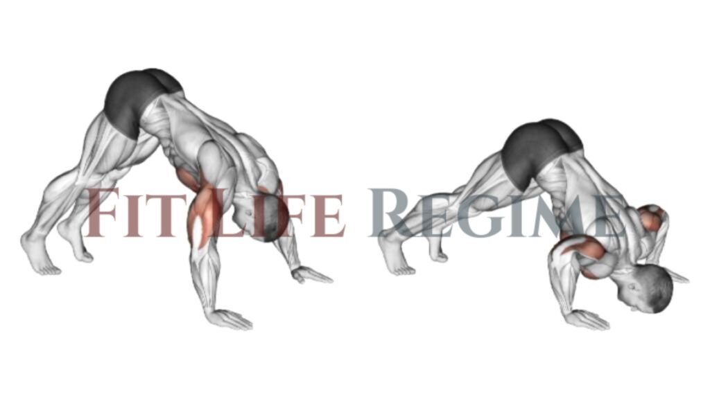 Pike Push Ups Traps At Evelyn Mary Blog