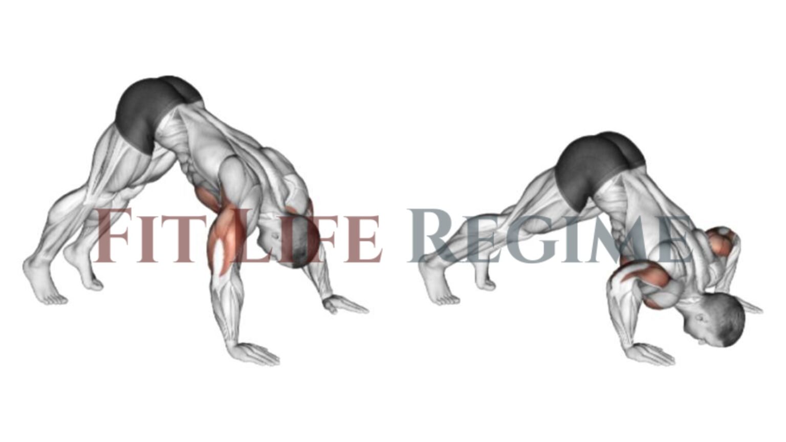 Pike PushUps How To, Muscle Worked, Tips