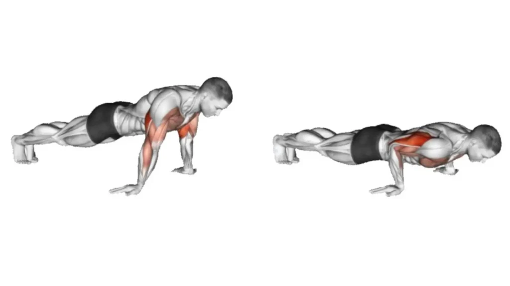 Reverse Grip Push-Ups