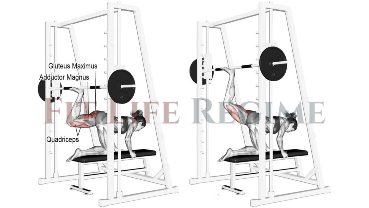 12 Most Effective Smith Machine Leg Workout & Exercises