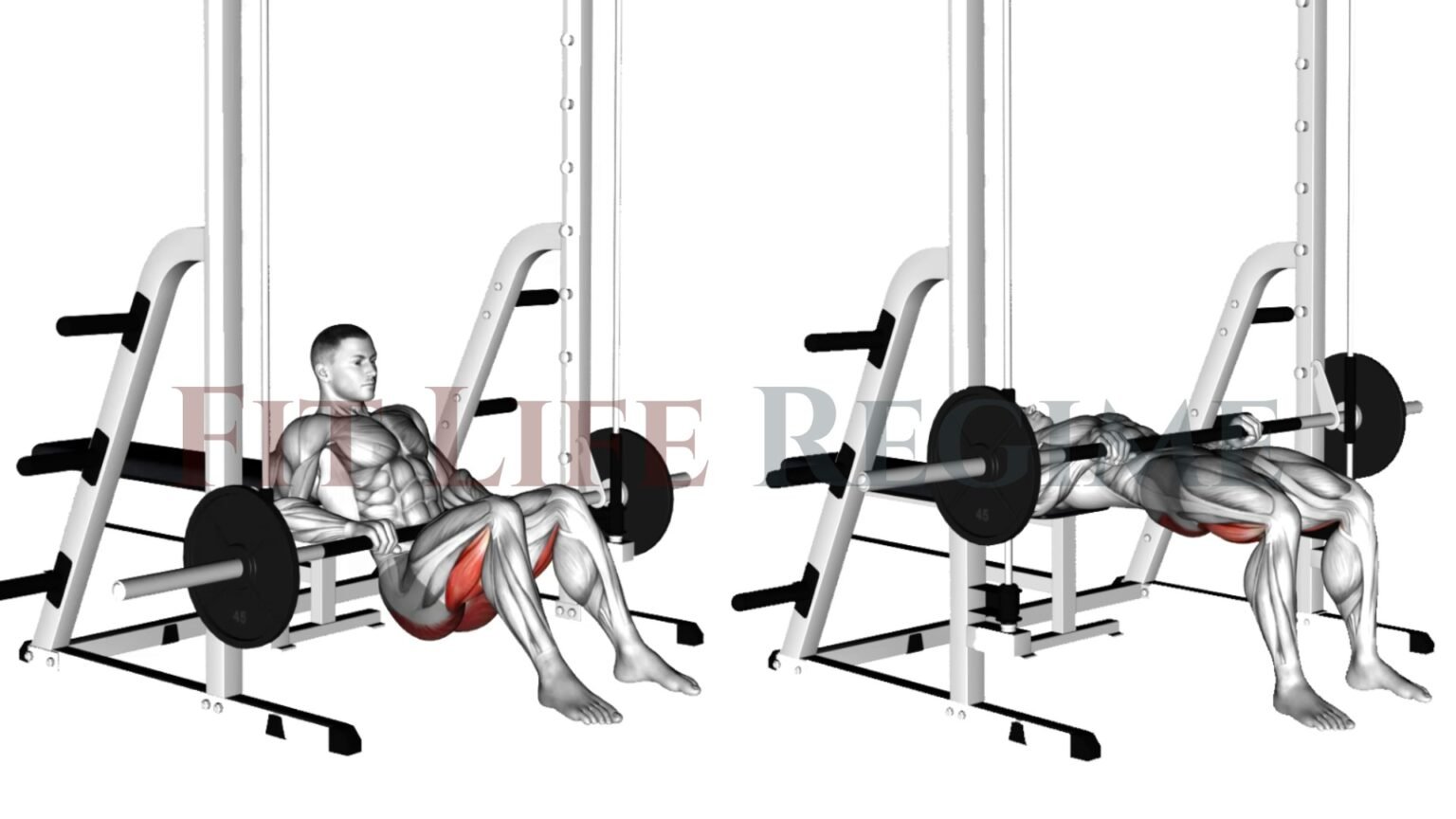 Smith Machine Hip Thrust: How To Do, Muscles Worked