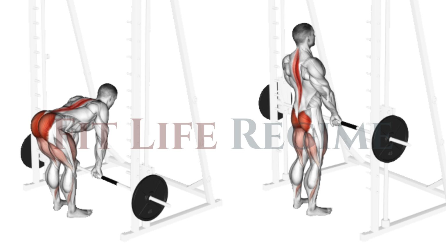 12 Most Effective Smith Machine Leg Workout & Exercises