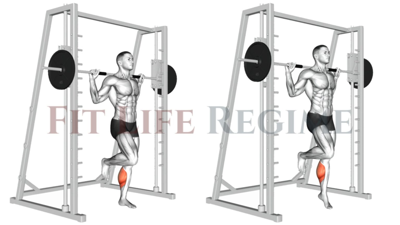 12 Most Effective Smith Machine Leg Workout & Exercises