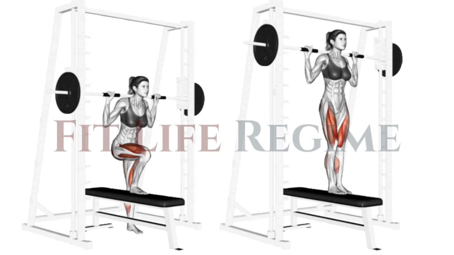 12 Most Effective Smith Machine Leg Workout & Exercises