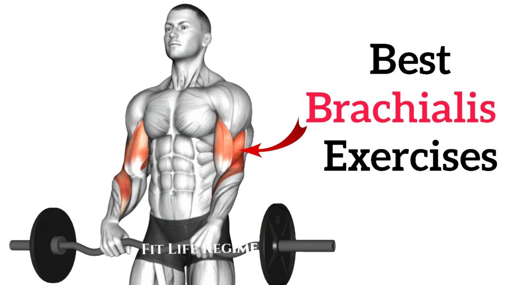 Best Brachialis Exercises To Build Bigger And Stronger Arms