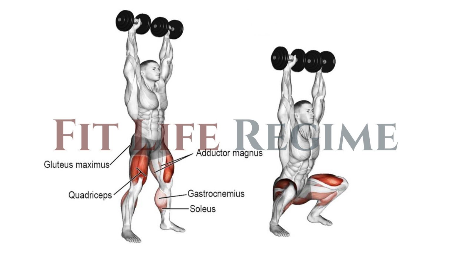 Dumbbell Overhead Squat How To Do And Muscles Worked 5166