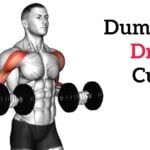 Dumbbell Drag Curl