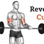 Reverse Curl