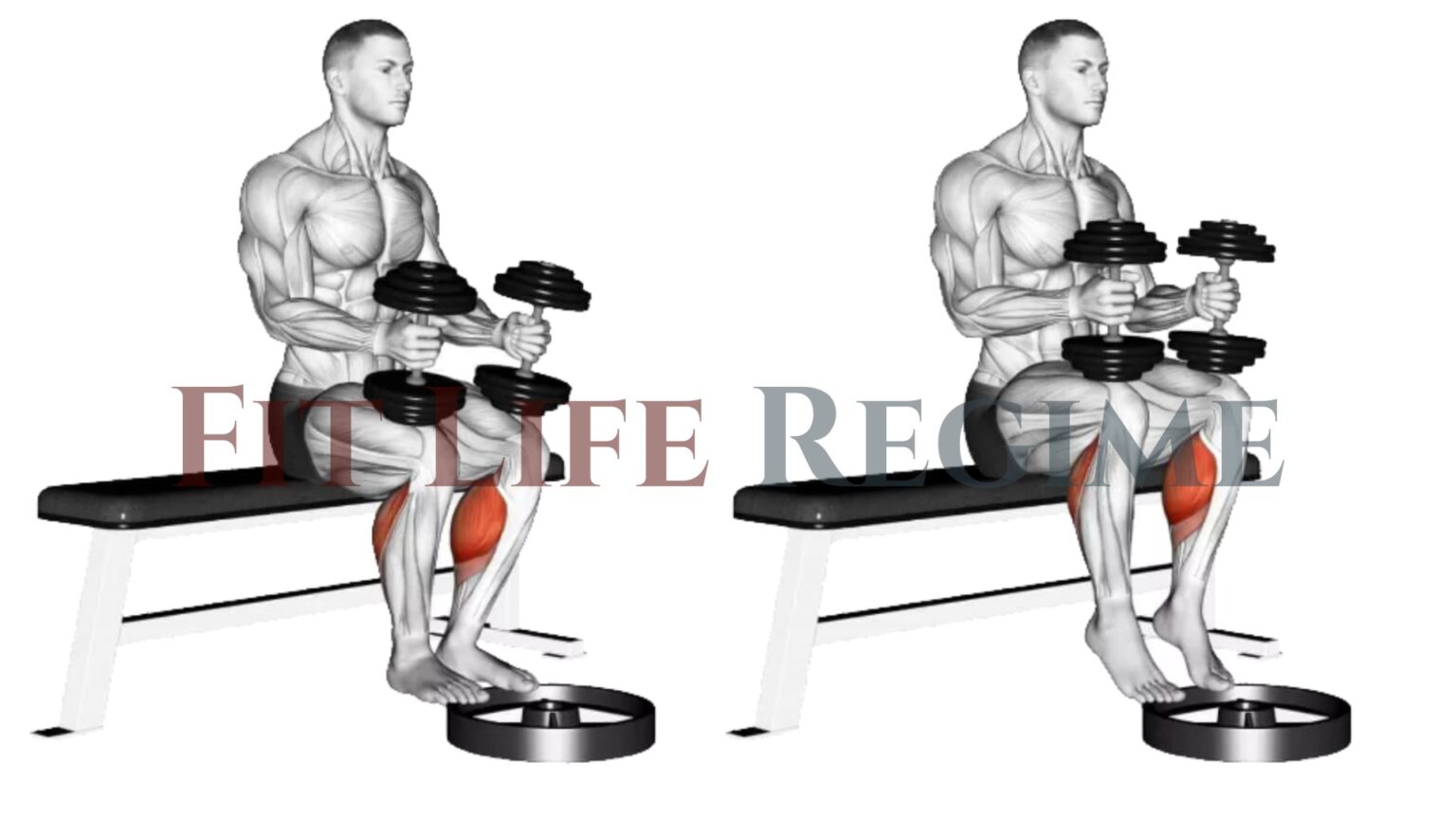 7 Best Dumbbell Calf Exercises to Strengthen Your Calves