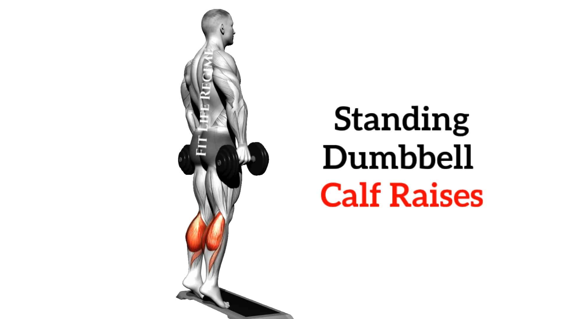 Standing Dumbbell Calf Raise