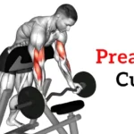 preacher curl