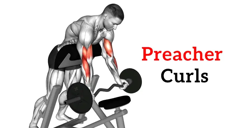 Single discount preacher curl