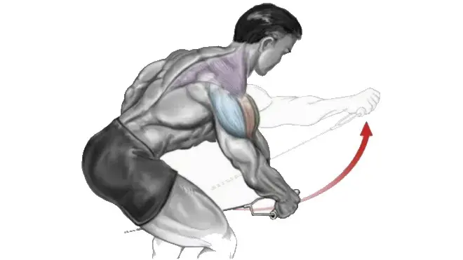 One-Arm Bent-Over Cable Raise