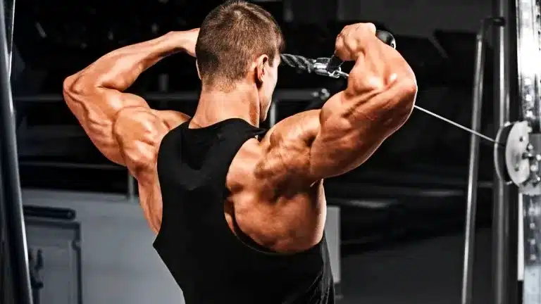 Rear Delt Cable Exercises