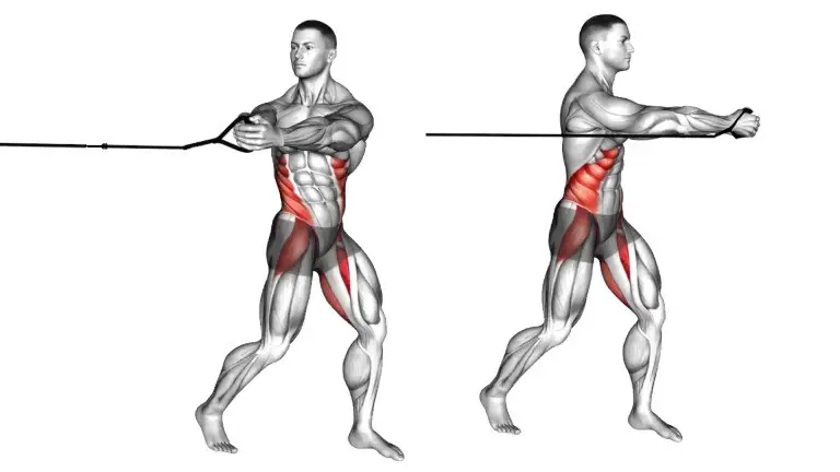 Resistance abd standing Oblique Twist