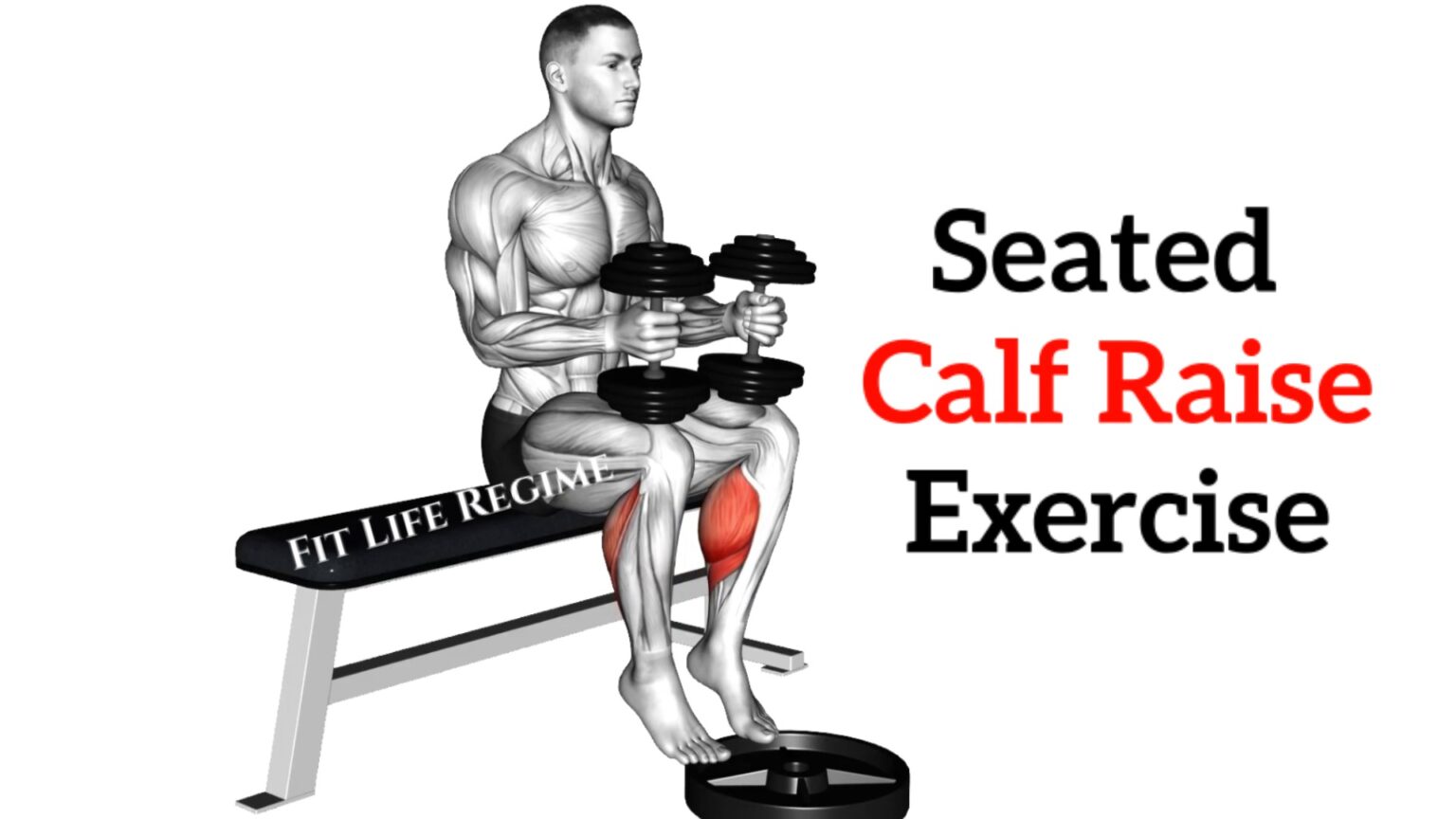 7 Best Dumbbell Calf Exercises To Strengthen Your Calves