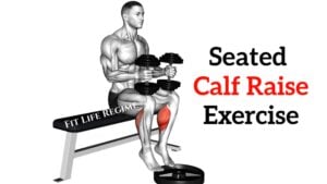 Seated Calf Raise Exercises