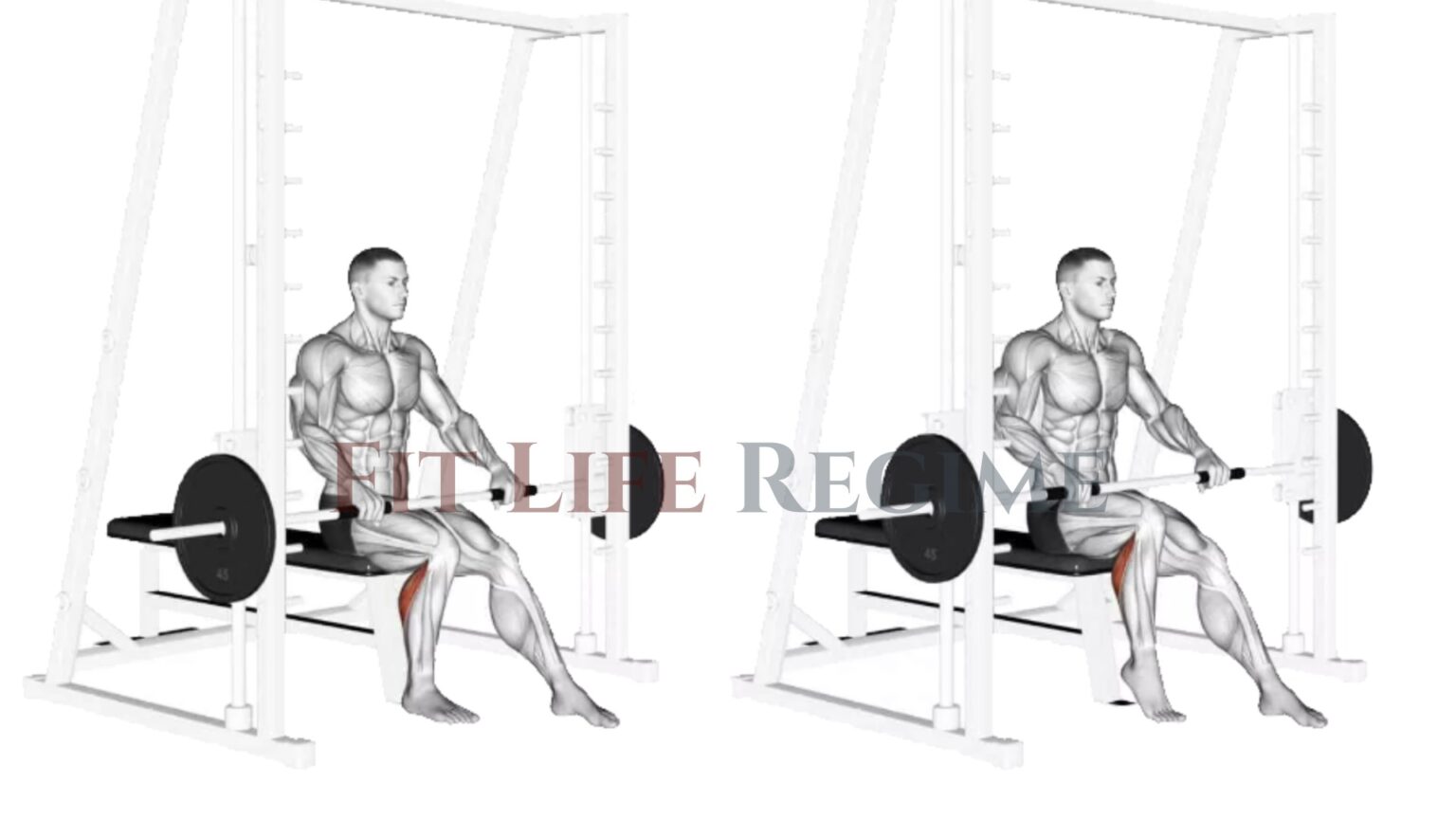 The Seated Calf Raise: A Step-by-Step Guide