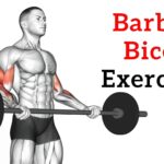 Barbell bicep exercises