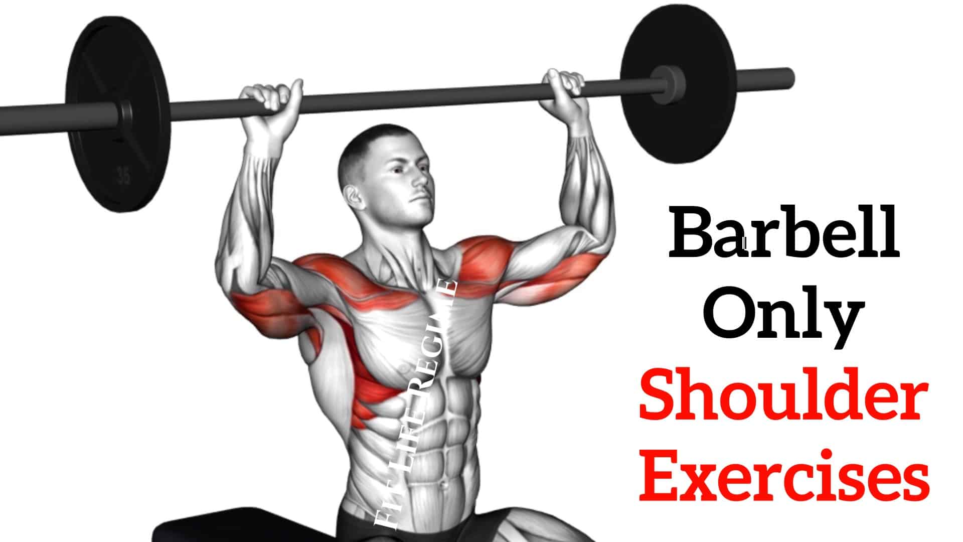 Best Shoulder Workout With Barbell At Home