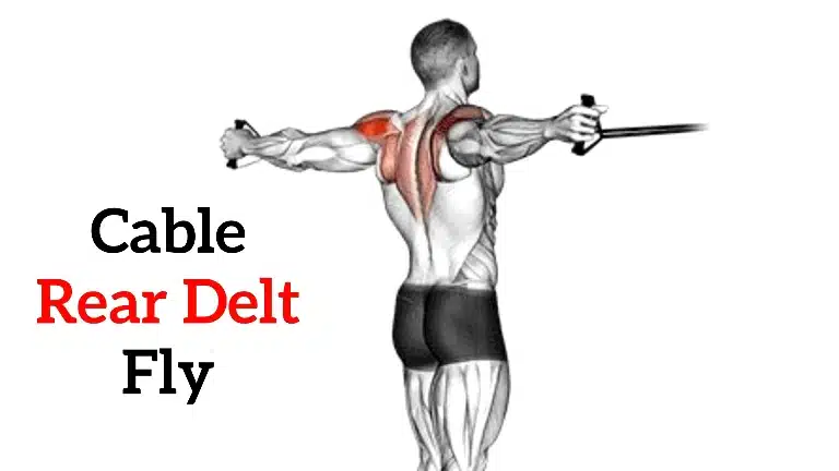 Cable Rear Delt Fly