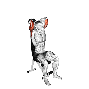 Seated Dumbbell Tricep Extension