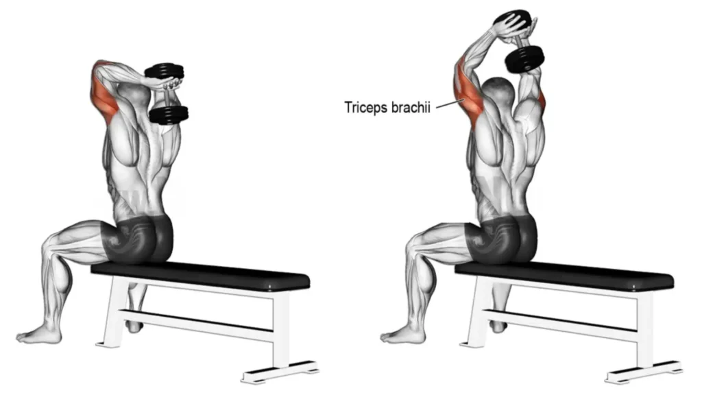 Seated Overhead Tricep Extension