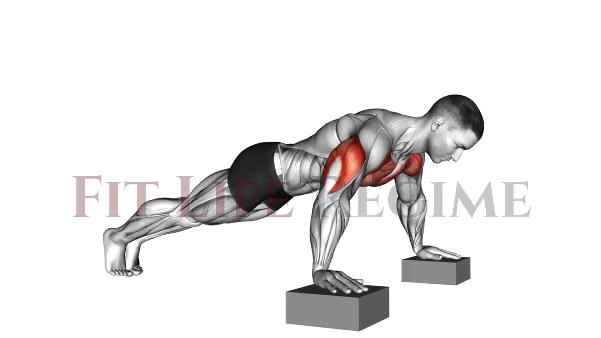 Best PushUps For Lower Chest That You Can Do At Home