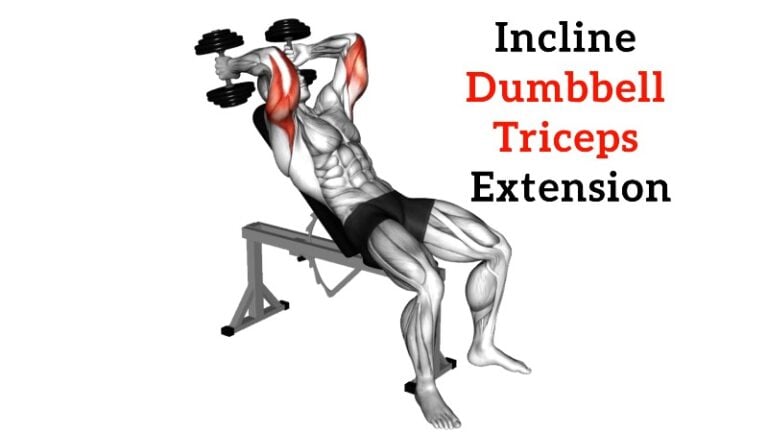 Brachialis Exercises to Build Bigger & Stronger Arms