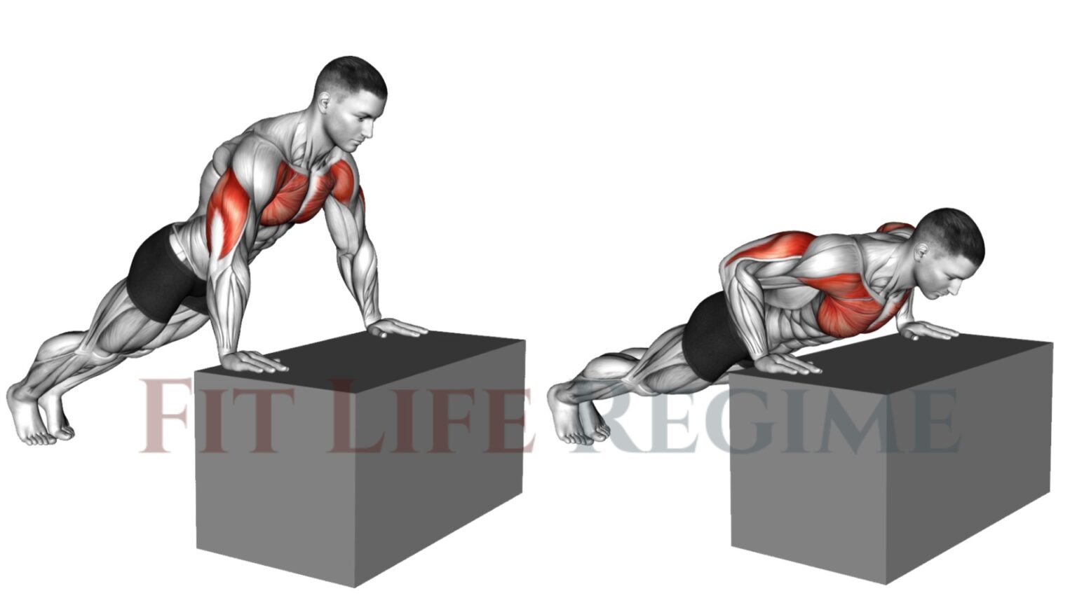 Lower Chest Bodyweight Workout That You Can Do At Home